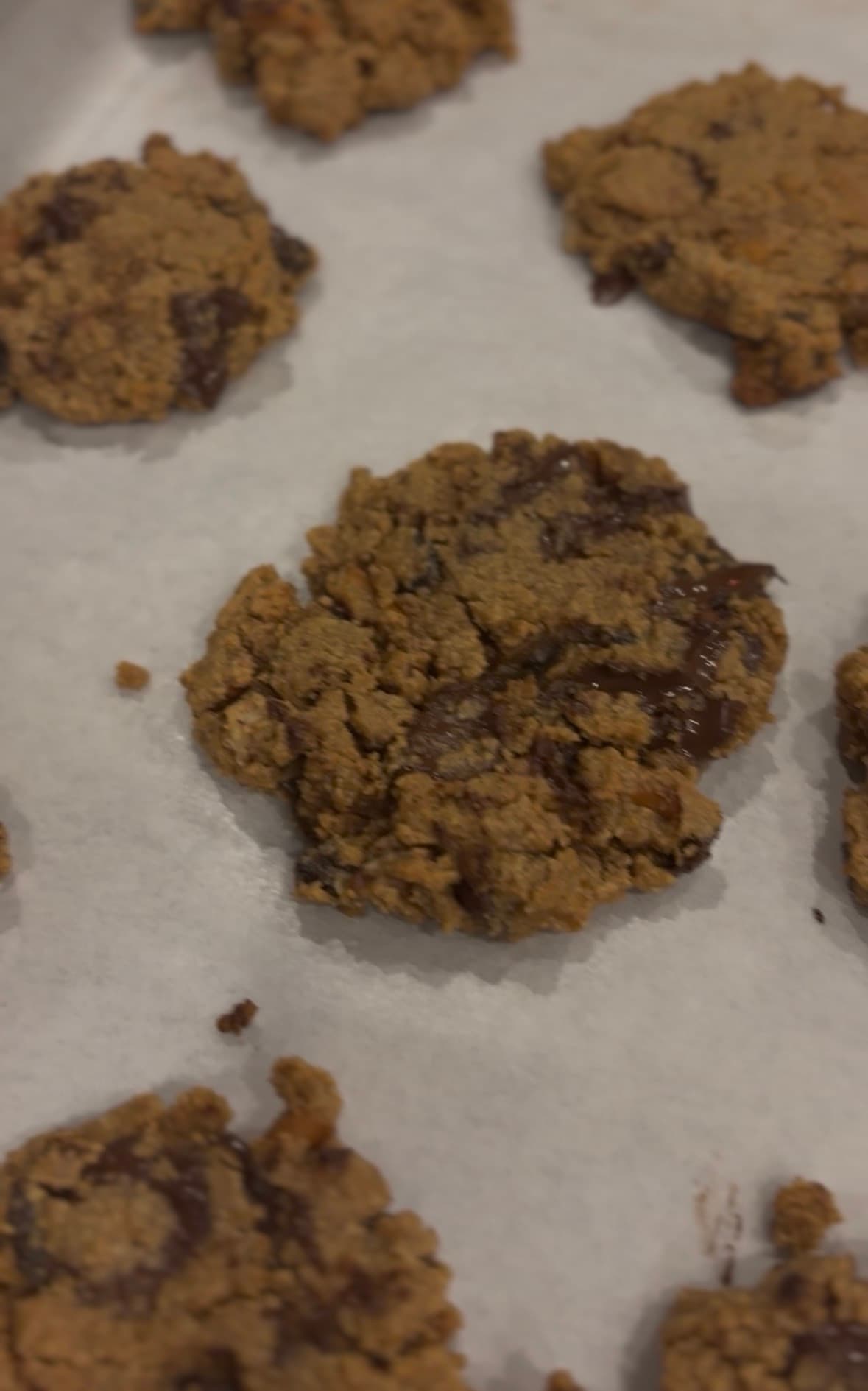 "Everything But The Trail" Cookies